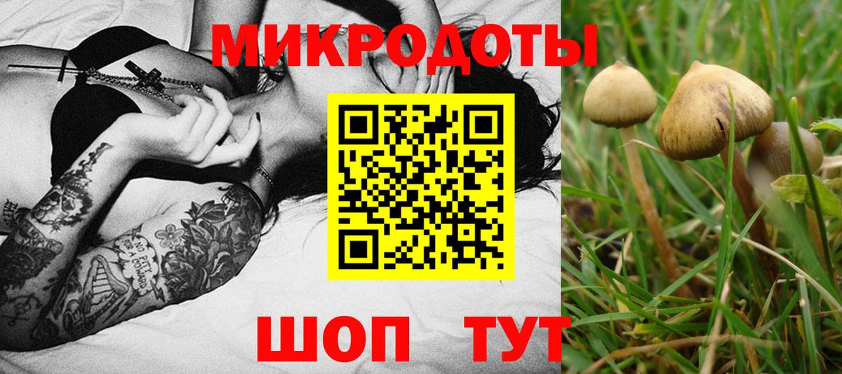 Галлюциногенные грибы мухоморы Дмитров