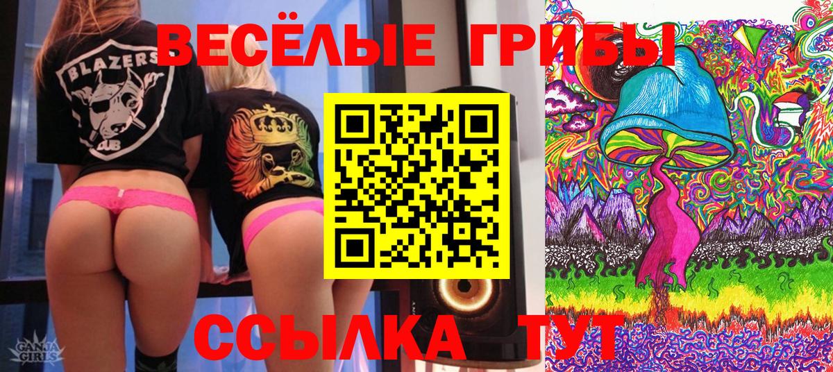 Дмитров  Галлюциногенные грибы Magic Shrooms  Вход с VPN 